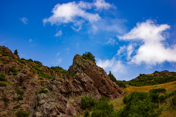 nature