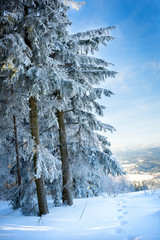 Winterurlaub und Wandern in Lenzkirch im Schwarzwald bei Schnee