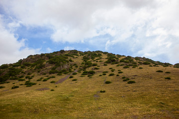 Obraz premium nature