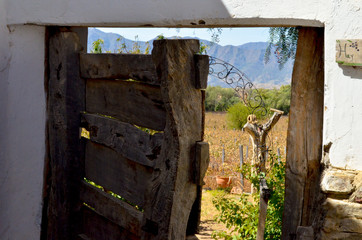 Old wooden door with trees and the mountain behind in Tarija, Bolivia