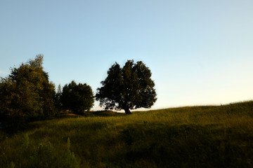 Transylvanian summer