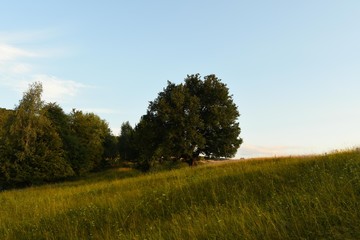 Obraz premium Transylvanian summer