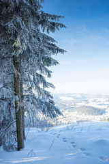 Winterurlaub und Wandern in Lenzkirch im Schwarzwald bei Schnee