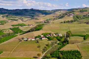 Fototapeta na wymiar View of green hills and groups of houses with vineyards