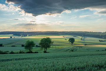The landscape in Low Saxony, Germany.