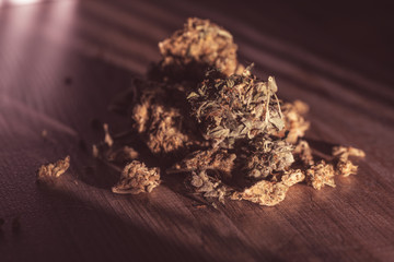 Close up of medical marijuana buds on wooden background