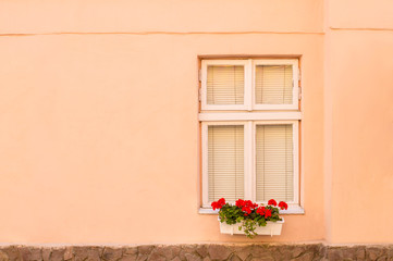 Fototapeta na wymiar cream-colored wall with window and flowers