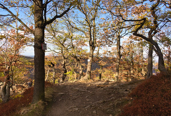 viewing point - Bodetal - Germany