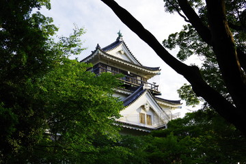 Naklejka premium Okazaki Castle