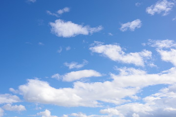 Obraz premium 青空