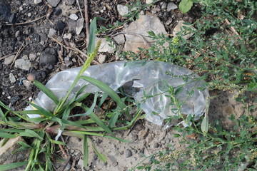 Fototapeta premium process of decomposition of plastic in nature. The concept of environmental pollution