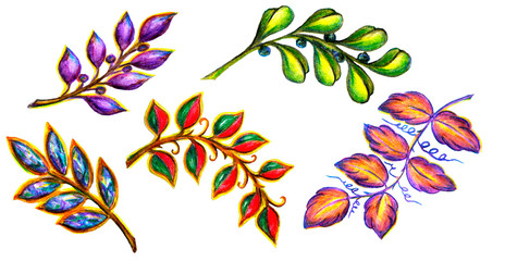 Set of decorative twigs with leaves watercolor hand painted illustration isolated on white background