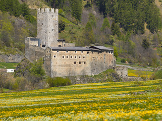 Burggeis in Südtirol Italien