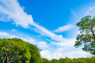 大阪ビジネスパーク周辺風景