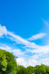 Fototapeta premium 大阪ビジネスパーク周辺風景