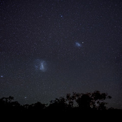 Fototapeta na wymiar Magellanic Clouds in southern hemisphere night sky above silhouettes of trees