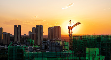 Tower cranes at night