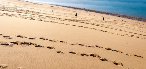 The Dune du Pilat of Arcachon in France, the highest sand dunes in Europe: paragliding, oyster...