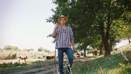 Young villager man shepherd in straw hat with his flock of cows on a rural background, slow motion