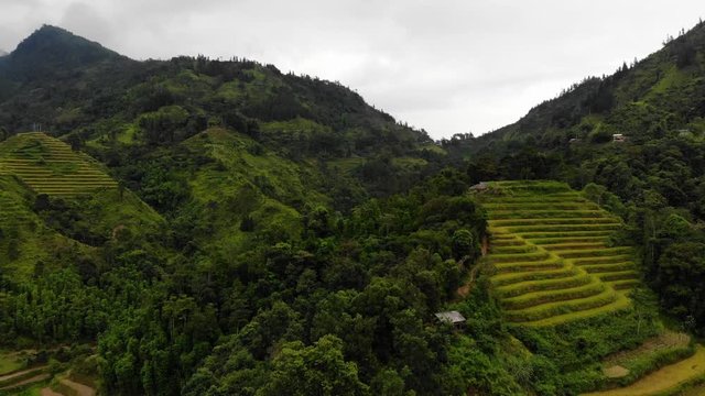 Rice terraces and green mountains of Hoang Su Phi AERIAL
