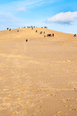 The Dune du Pilat of Arcachon in France, the highest sand dunes in Europe: paragliding, oyster cultivation, desert and beach.
