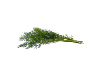 dill isolated on white background