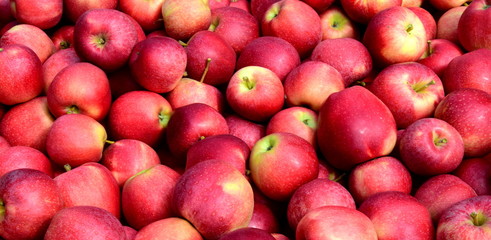 Hintergrund rote leckere Äpfel nach der Apfelernte - Textur