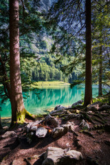 Fototapeta premium türkises Wasser vom Seealpsee gerahmt von Tannen