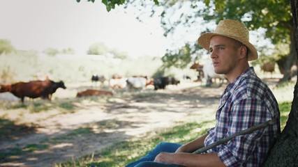 Young villager man shepherd in straw hat with his flock of cows lying near the tree with a rural background