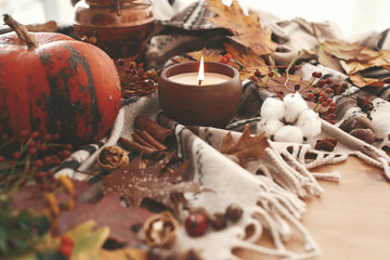 Hygge lifestyle, autumn mood. Happy Thanksgiving. Cozy inspirational image. Pumpkin and candle with berries, fall leaves, anise,herbs, acorns, nuts, cinnamon, cotton on brown blanket