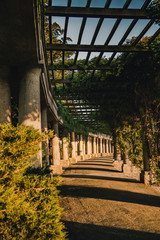 Pergola we Wrocławiu © Studio Migafka