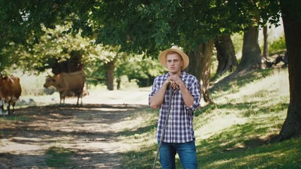 Young villager man shepherd in straw hat with his flock of cows on a rural background, slow motion