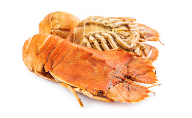Steamed flathead lobster isolated on white background