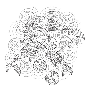 Hand drawn sketch illustration of dolphins and balls for adult coloring book.