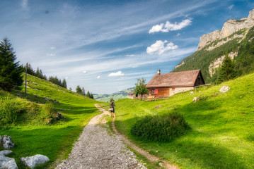 Fototapeta na wymiar Wanderer in der nähe vom Seealpsee in Appenzell, Schweiz