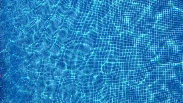 Fondo De Pantalla Fondo De Pantalla