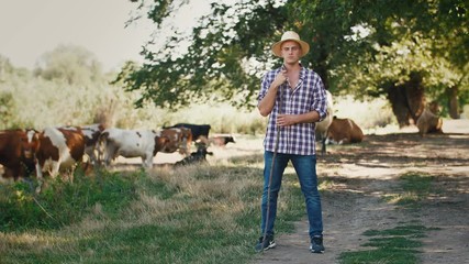 Young villager man shepherd in straw hat with his flock of cows on a rural background, slow motion