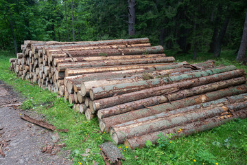 Cut trees trunks heap stack, logging industry forest lumber