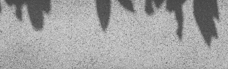 shadow of leaves on stone wall black and white style