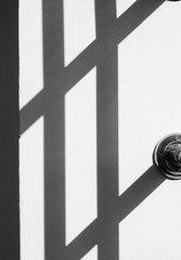 shadow of fence on white wall