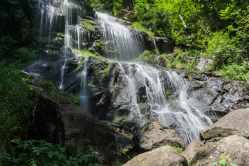 Obraz premium Wandern im Schwarzwald durch Wald und an Flüssen