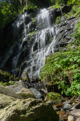 Wandern im Schwarzwald durch Wald und an Flüssen