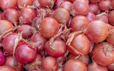 organic dry onion bulbs top view closeup, seamless pattern background