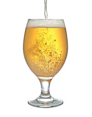 beer pours into a glass with a fine stream forming bubbles