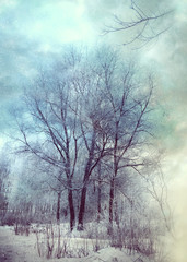 Obraz na płótnie Canvas Trees under snowfall design