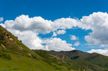 View of snow capped mountain from Red Butte Garden in the heart of salt lake city, UT