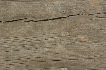 Fototapeta premium texture 