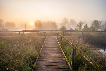 Sonnenaufgang im Pietzmoor bei Schneverdingen in der Lüneburger Heide