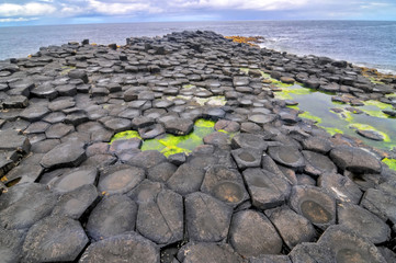 The Giant's Causeway  located in County Antrim, Northern Ireland. - obrazy, fototapety, plakaty