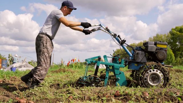 A man digs potatoes using a hand tractor. Equipment for digging potatoes. Motor-block with a potato digger.